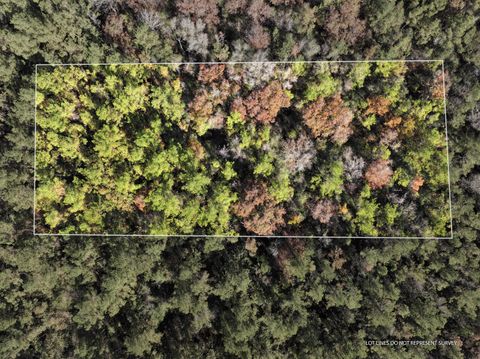 Photo of 108 MOL AC Old HWY 24 Parcel 24, Mc Lain, MS 39456 (MLS # 144838)