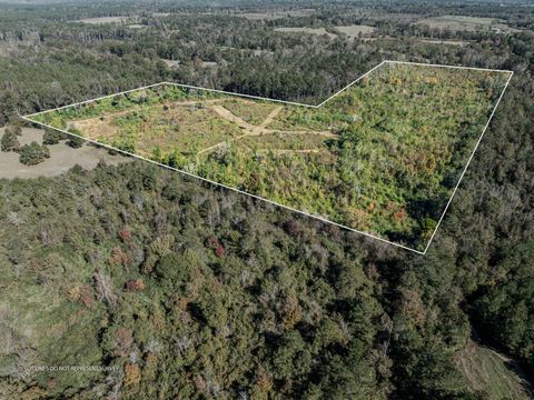 Photo of 00 Lindsey, Mount Olive, MS 39119 (MLS # 144861)