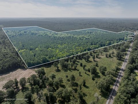 Photo of 121 Acres Old Hwy 49, Seminary, MS 39429 (MLS # 145412)