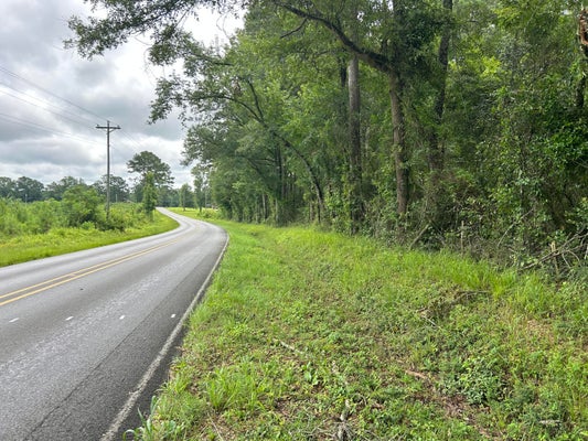 TUCKERS CROSSING RD, ELLISVILLE, MS 39437 - Image 1ede7dcb1f2d37407dacb09fae76b1d5/3914284597