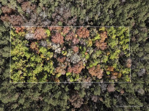 Photo of 108 MOL AC Old HWY 24 Parcel 27, Mc Lain, MS 39456 (MLS # 144841)