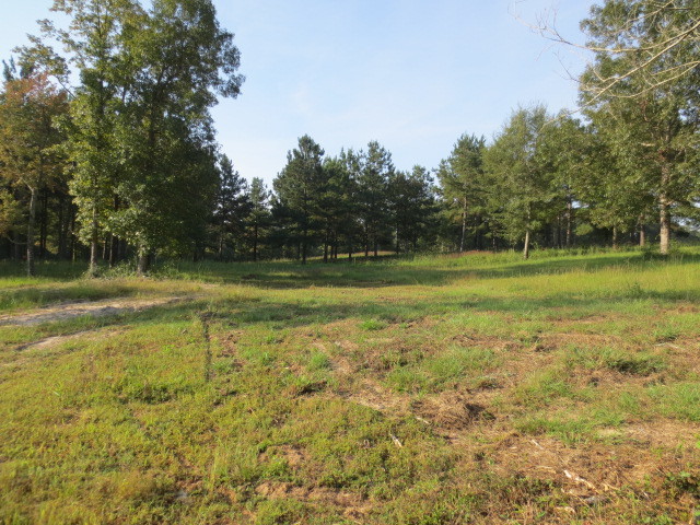 Photo 1 of 1 — 152 Joan Drive, Ellisville, MS 39437