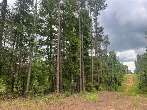 Photo of 7 Lawler Rd., Lumberton, MS 39455 (MLS # 145425)