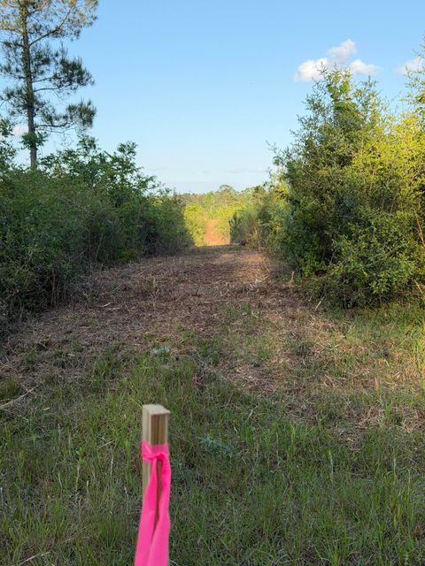 Photo of 146 Hwy 48 East, Sandy Hook, MS 39478 (MLS # 147056)