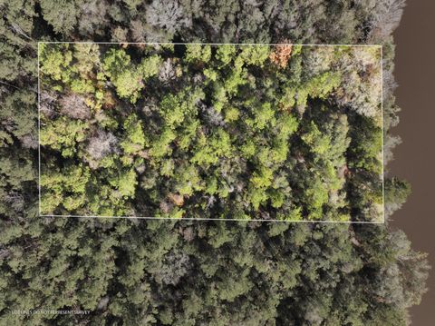 Photo of 10 MOL AC Old HWY 24 Parcel 33, Mc Lain, MS 39456 (MLS # 144866)