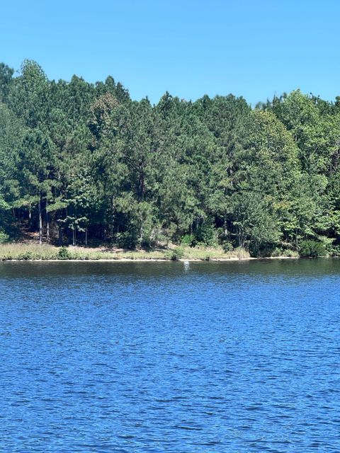 Photo of 28 Anne's Circle (Lot 43), Lumberton, MS 39455 (MLS # 144513)