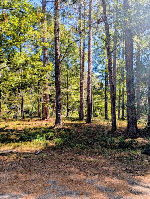 Photo of 0 Norrell Dr., Petal, MS 39465 (MLS # 144770)