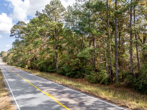 Photo of 000 Hwy 11, Moselle, MS 39459 (MLS # 144902)