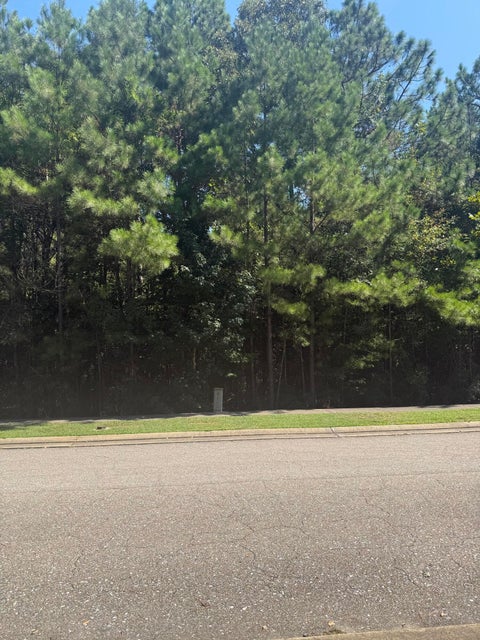 Photo of 80 South of Fields Flds, Hattiesburg, MS 39402 (MLS # 148838)