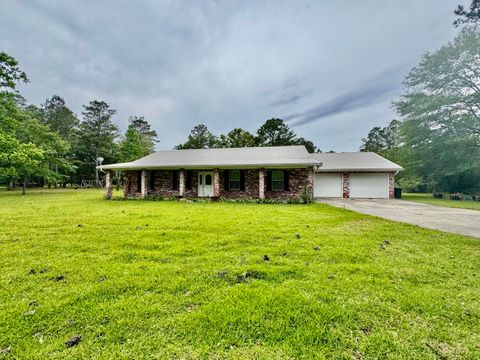 Photo of 20 C G Smith RD, Picayune, MS 39466 (MLS # 147047)