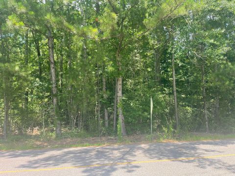 Photo of 106 Woodville Trace Trail, Hattiesburg, MS 39402 (MLS # 142970)