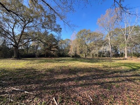 Photo of 211 Clay St St, Ellisville, MS 39437 (MLS # 145119)