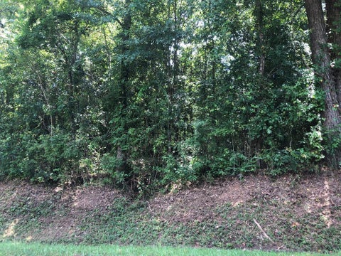Photo of 0 lot 42, Laurel, MS 39440 (MLS # 148086)