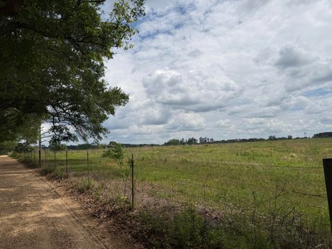 Photo of 17 Good Hill Rd., Lumberton, MS 39455 (MLS # 146956)