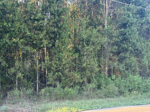Photo of 00 Hillcrest Loop, Petal, MS 39465 (MLS # 148845)