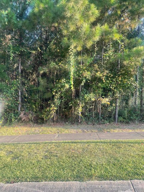 Photo of 44 Baneberry, Hattiesburg, MS 39402 (MLS # 144059)