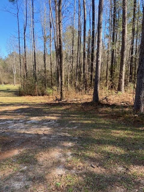 Photo of 00 Oral Church Rd., Sumrall, MS 39482 (MLS # 146045)