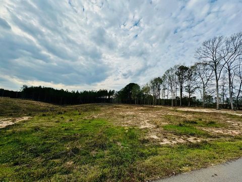 Photo of 79 Bates Ave., Purvis, MS 39475 (MLS # 145397)