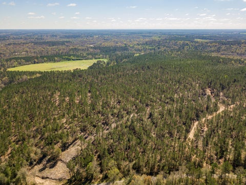 Photo of 6 Timothy Rd., Ellisville, MS 39437 (MLS # 148730)