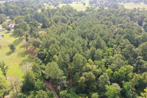 Photo of 0 Reedy Creek, Laurel, MS 39443 (MLS # 148444)
