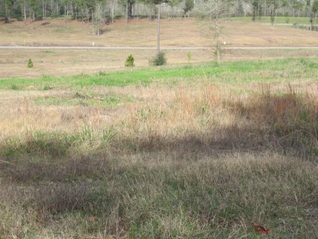 Photo 1 of 1 — 103 Joan Drive, Ellisville, MS 39437