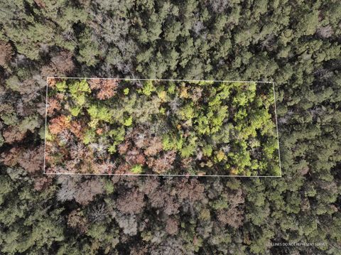 Photo of 108 MOL AC Old HWY 24 Parcel 28, Mc Lain, MS 39456 (MLS # 144849)