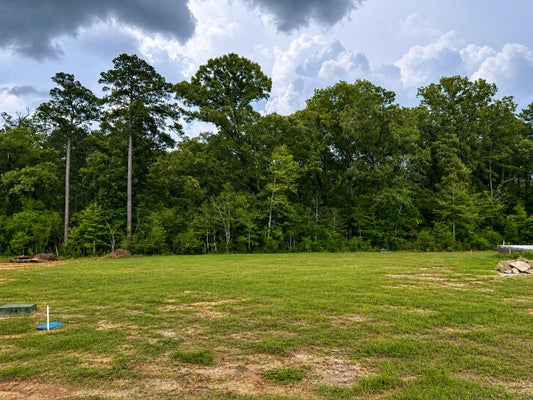 19 SANDY LN, HATTIESBURG, MS 39402 - Image 5a4e36e7fd013af2d2754007e65c0b71/2483454769