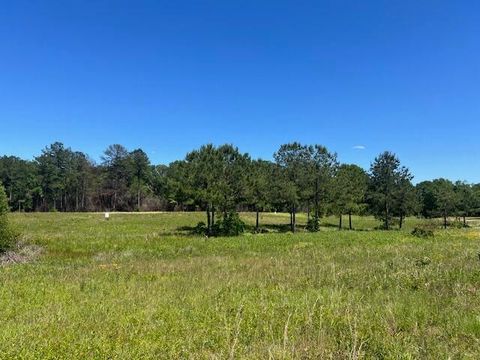 Photo of 151147 Joan, Ellisville, MS 39437 (MLS # 142393)