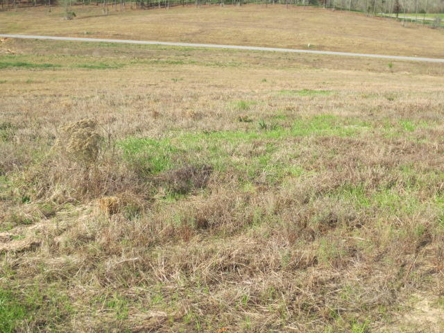 Photo 1 of 1 — 113 Joan Drive, Ellisville, MS 39437