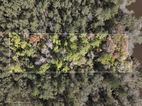 Photo of 108 MOL AC Old HWY 24 Parcel 22, Mc Lain, MS 39456 (MLS # 144836)