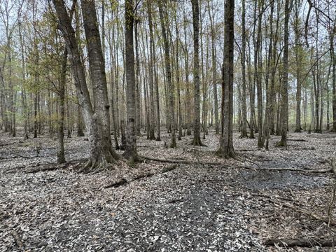 Photo of 0 MS-15, Ellisville, MS 39437 (MLS # 140579)