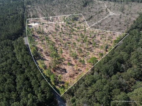 Photo of 1636 Acres Noel Townsend Rd., Seminary, MS 39429 (MLS # 145364)