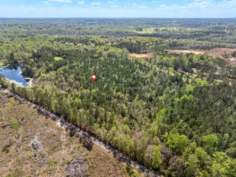 Photo of 163 Piatonia, Lumberton, MS 39455 (MLS # 146440)