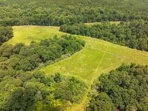 Photo of 144 J Barnes, Purvis, MS 39475 (MLS # 146342)