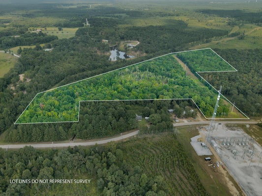 24 LYNN RAY RD, PETAL, MS 39465 - Image 79f2d38c7f14082dbed0c1cfebd438c0/784779892