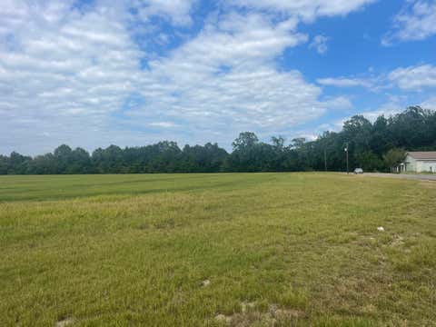 Photo of 155 Carterville Rd., Petal, MS 39465 (MLS # 148178)