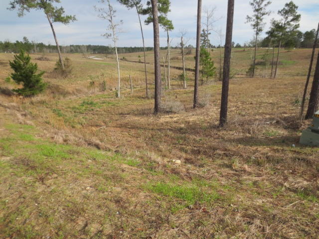 Photo 1 of 1 — 25 Josie Drive, Ellisville, MS 39437