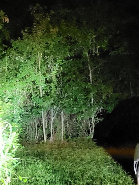 Photo of 3 Satcher Drive, Picayune, MS 39466 (MLS # 134341)