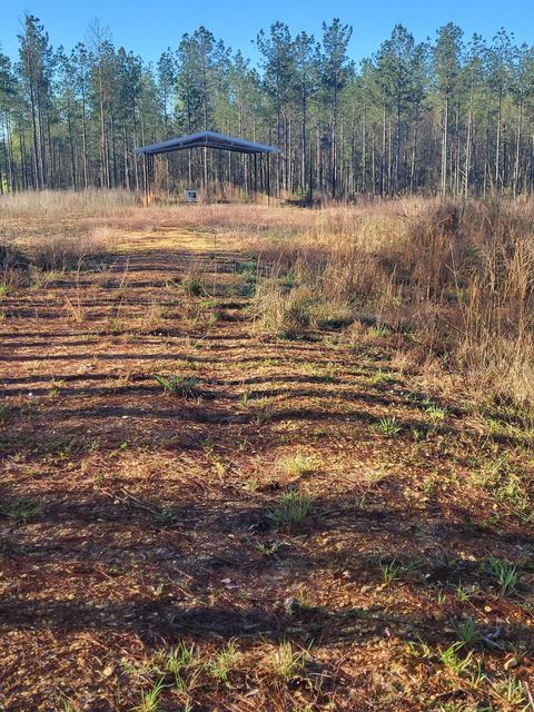 Photo of 1575 Purvis To Baxterville, Purvis, MS 39475 (MLS # 146246)