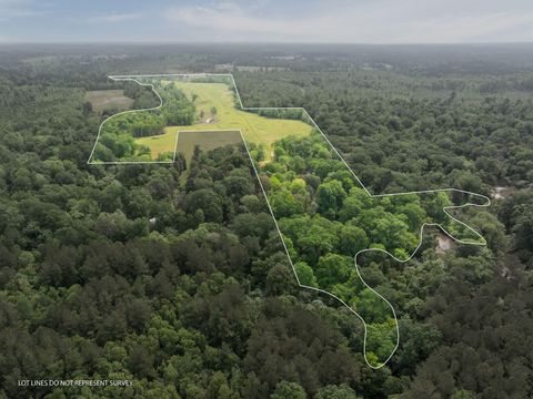 Photo of 8164 Acres William Warren Rd., Collins, MS 39428 (MLS # 145203)