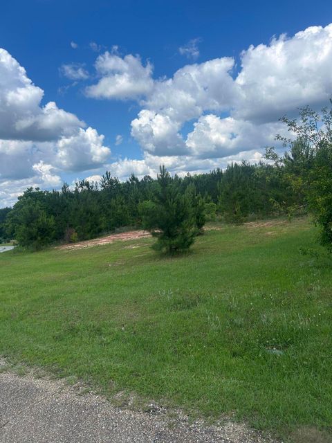 Photo of 52 Joe Traylor Rd., Hattiesburg, MS 39402 (MLS # 147067)