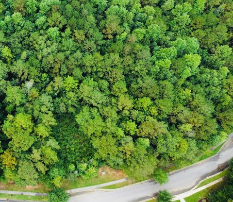 Photo of 161 Bellegrass Blvd., Hattiesburg, MS 39402 (MLS # 144282)