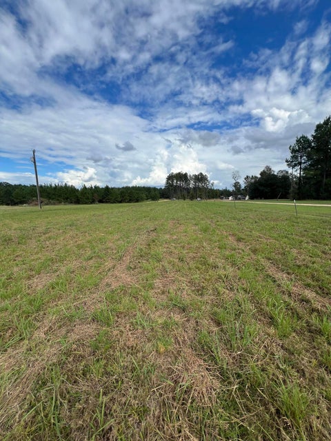Photo of 18 Blackbird Ln., Petal, MS 39465 (MLS # 148963)