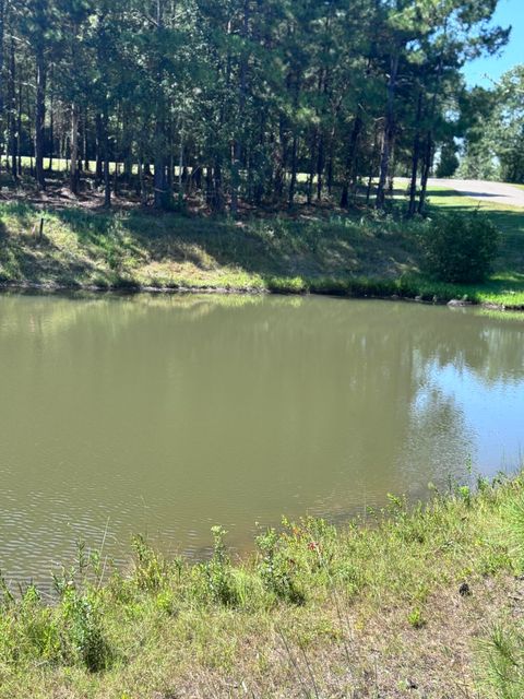 Photo of 6 Painted Arrow (Lot #43), Lumberton, MS 39455 (MLS # 144127)