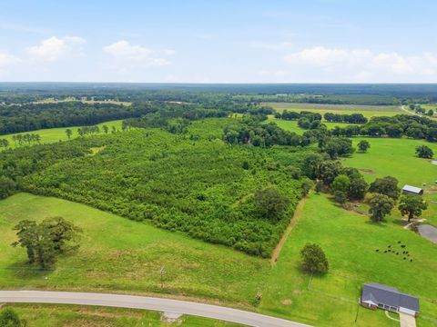 Photo of 400 MS Highway 29, Ovett, MS 39464 (MLS # 147297)