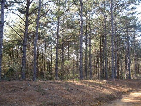 Photo of 3 Parkview Drive, Ellisville, MS 39437 (MLS # 144915)