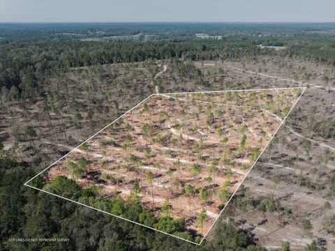 Photo of 824 Acres Noel Townsend Rd., Seminary, MS 39429 (MLS # 143953)