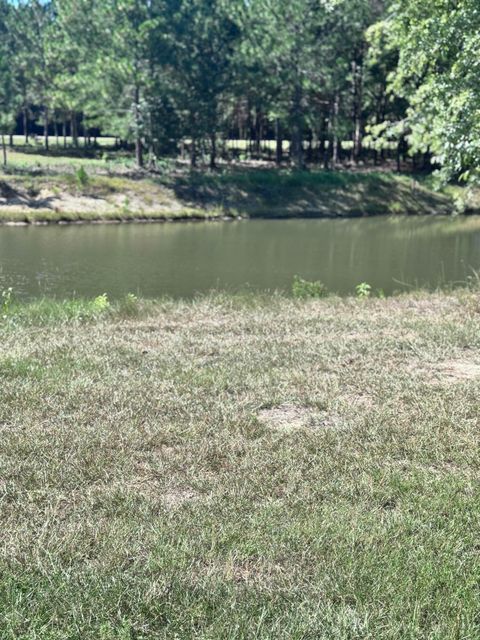 Photo of 14 Painted Arrow (Lot #41), Lumberton, MS 39455 (MLS # 144124)