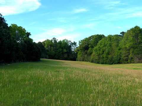Photo of 36 Hwy 13, Lumberton, MS 39455 (MLS # 146563)