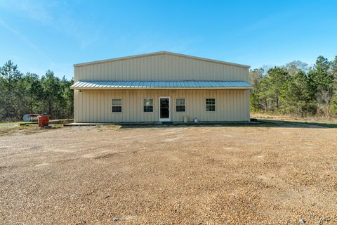 Photo of 4105 Hwy 11, Hattiesburg, MS 39401 (MLS # 145522)